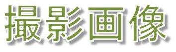 Be摜 